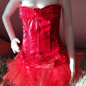 Ravishing Red Swan Corset and TuTu Combo (XXL)